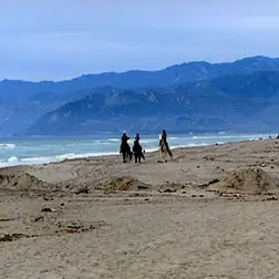 Oxnard Beach, caballos de Mandalay Bay