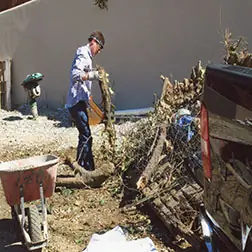 abogado laboral para empleados